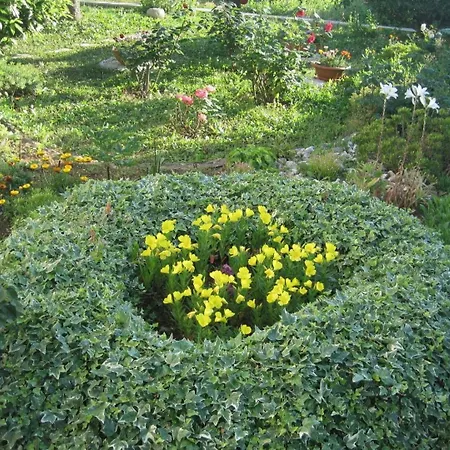 Ivan شقة زادار